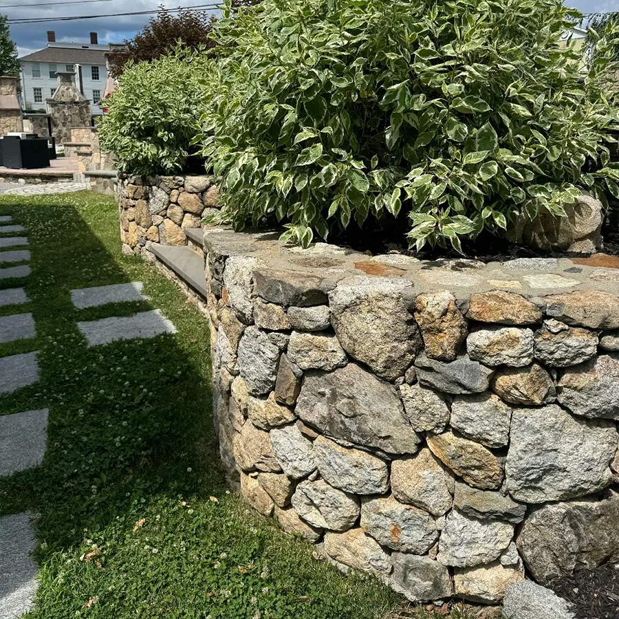 a stone wall with plants in it